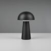 Trio R52176102 Lennon LED Venkovní stolní svítidlo | Teplá bílá | Černá | 2W