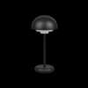 Trio R52306132 Elliot LED venkovní svítidlo | Teplá bílá | 2W | Černá