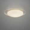 Trio R62063500 Frodo LED stropní svítidlo | Variabilní | 13W | Bílá