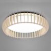 Trio R62171930 Monte LED Stropní svítidlo s ovladačem | Teplá bílá | Bílá | 38W