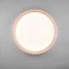 Trio R62171930 Monte LED Stropní svítidlo s ovladačem | Teplá bílá | Bílá | 38W