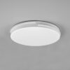 Trio R62241131 Tacoma LED Stropní svítidlo s ovladačem | Teplá bílá | Bílá | 24W