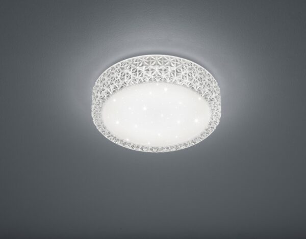 Trio R62421100 Pegasus LED stropní svítidlo | Teplá bílá | 10W | Bílá