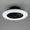 Trio R62522132 Stralsund LED stropní svítidlo | Teplá bílá | Černá | 30W