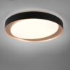 Trio R62712402 Zeta LED stropní svítidlo | Variabilní | 24W | Černá