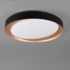 Trio R62712402 Zeta LED stropní svítidlo | Variabilní | 24W | Černá