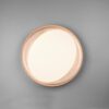 Trio R62712402 Zeta LED stropní svítidlo | Variabilní | 24W | Černá