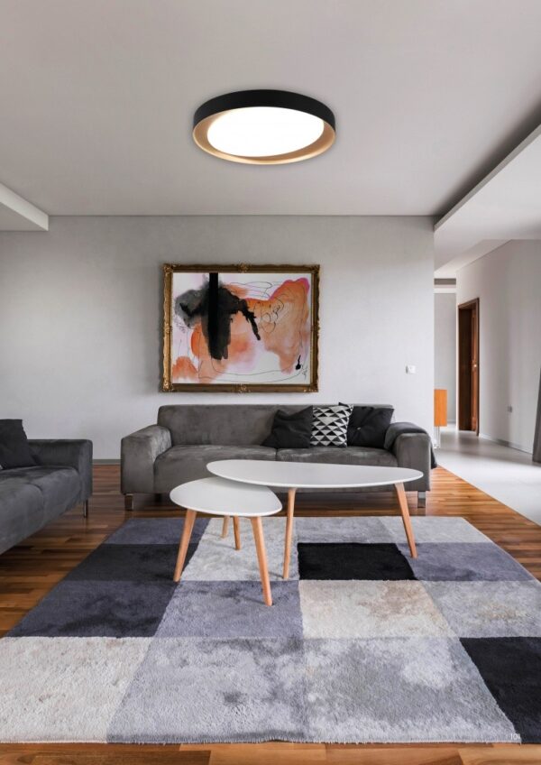 Trio R62712402 Zeta LED stropní svítidlo | Variabilní | 24W | Černá