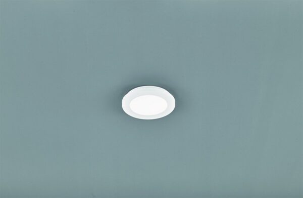 Trio R62921001 Camillus LED stropní svítidlo | Teplá bílá | 9W | Bílá