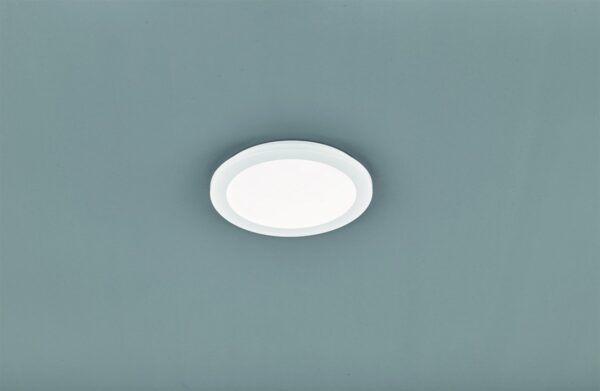 Trio R62921501 Camillus LED stropní svítidlo | Teplá bílá | 13W | Bílá