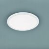Trio R62922401 Camillus LED stropní svítidlo | Teplá bílá | 24W | Bílá