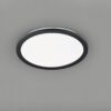 Trio R62922432 Camillus LED Koupelnové stropní svítidlo | Teplá bílá | 24=2000lmW | Bílá | Černá
