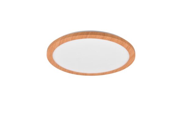 Trio R62922435 LED Přisazené stropní svítidlo | Teplá bílá | 22W