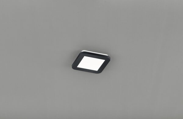 Trio R62931032 Camillus LED Přisazené stropní svítidlo | Teplá bílá | 10W