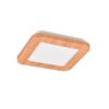 Trio R62931035 LED Přisazené stropní svítidlo | Teplá bílá | 9W