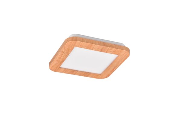 Trio R62931035 LED Přisazené stropní svítidlo | Teplá bílá | 9W