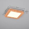 Trio R62931035 LED Přisazené stropní svítidlo | Teplá bílá | 9W
