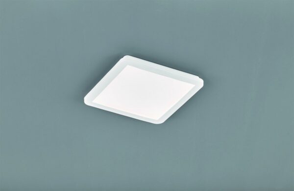 Trio R62931801 Camillus LED stropní svítidlo | Teplá bílá | 18W | Bílá