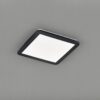 Trio R62931832 Camillus LED Přisazené stropní svítidlo | Teplá bílá | 18W