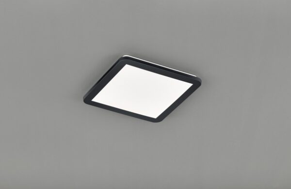 Trio R62931832 Camillus LED Přisazené stropní svítidlo | Teplá bílá | 18W