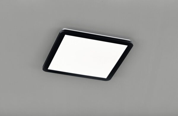 Trio R62932032 Camillus LED Koupelnové stropní svítidlo | Teplá bílá | 24=2000lmW | Bílá | Černá