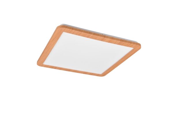 Trio R62932035 LED Přisazené stropní svítidlo | Teplá bílá | 22W
