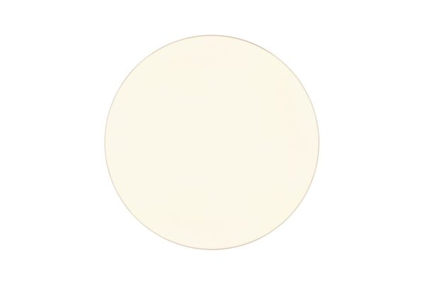 Trio R64141101 LED Přisazené stropní svítidlo | Teplá bílá | 4,6W | Bílá