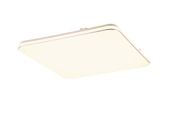 Trio R64141201 LED Přisazené stropní svítidlo | Teplá bílá | 4,6W | Bílá