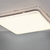 Trio R64141201 LED Přisazené stropní svítidlo | Teplá bílá | 4,6W | Bílá