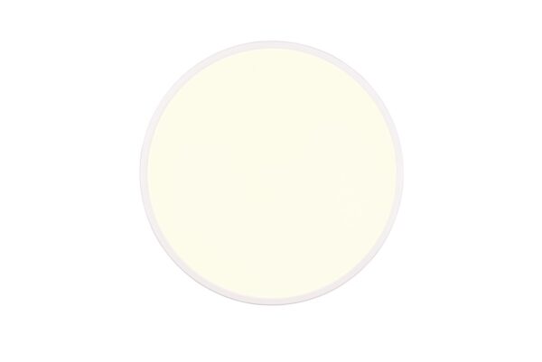 Trio R64381031 LED Přisazené stropní svítidlo | Variabilní | 30W | Bílá