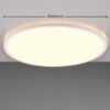 Trio R64381031 LED Přisazené stropní svítidlo | Variabilní | 30W | Bílá