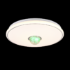 Trio R65061100 Rave LED stropní svítidlo | Teplá bílá | 17W | Bílá
