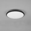 Trio R67021132 Limbus LED stropní svítidlo | Teplá bílá | Černá | 22W