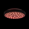 Trio R67161132 Chizu LED stropní svítidlo | RGB | Variabilní | 22W | Černá
