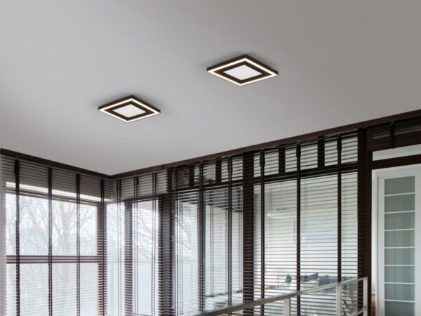 Trio R67212032 Carus LED stropní svítidlo | Teplá bílá | 10+7W | Černá