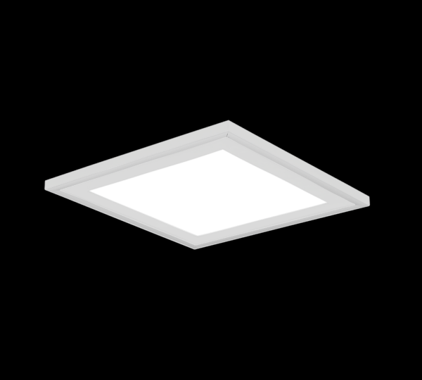 Trio R67213331 Carus LED stropní svítidlo | Přírodní bílá | 16+8,6W | Bílá