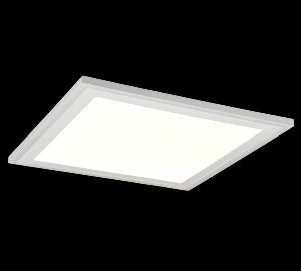 Trio R67214331 Carus LED stropní svítidlo | Přírodní bílá | 20+9W | Bílá