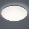 Trio R67831101 Pollux LED Koupelnové stropní svítidlo | Teplá bílá | 12=1100lmW | Bílá