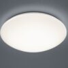 Trio R67839101 Pollux LED Koupelnové stropní svítidlo | Teplá bílá | Bílá | 18W