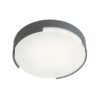 Redo 90005 Skor LED Stropní venkovní světlo | Teplá bílá | 16W | Šedá