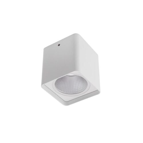 Redo 90031 Xia LED Stropní venkovní světlo | Přírodní bílá | 20W | Bílá