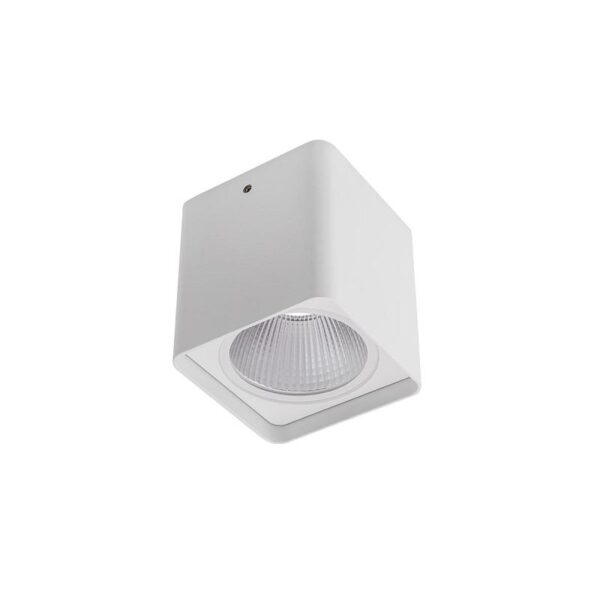 Redo 90031 Xia LED Stropní venkovní světlo | Přírodní bílá | 20W | Bílá
