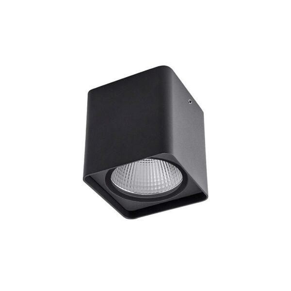 Redo 90032 Xia LED Stropní venkovní světlo | Přírodní bílá | 20W | Šedá