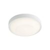 Redo 90118 Osiris LED Přisazené stropní svítidlo | Teplá bílá | Bílá | 20W