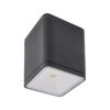 Redo 9199 LED Stropní venkovní světlo | Přírodní bílá | Šedá | 6W