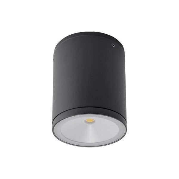 Redo 9598 Eta LED Stropní venkovní světlo | Teplá bílá | Šedá | 6W