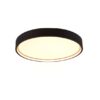 Trio 641310232 Doha LED Přisazené stropní svítidlo | Variabilní | 29W | Černá