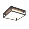 Trio 677860142 Witham LED Stropní venkovní světlo | Variabilní | 14W | Černá