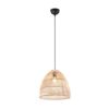Trio R31131036 Rike Lustr | E27