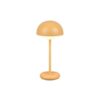 Trio R52306183 Elliot LED venkovní svítidlo | Teplá bílá | 2W